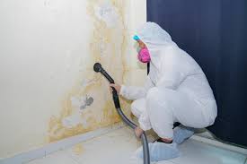 Best Environmental Consulting for Mold Prevention in Mansfield, PA